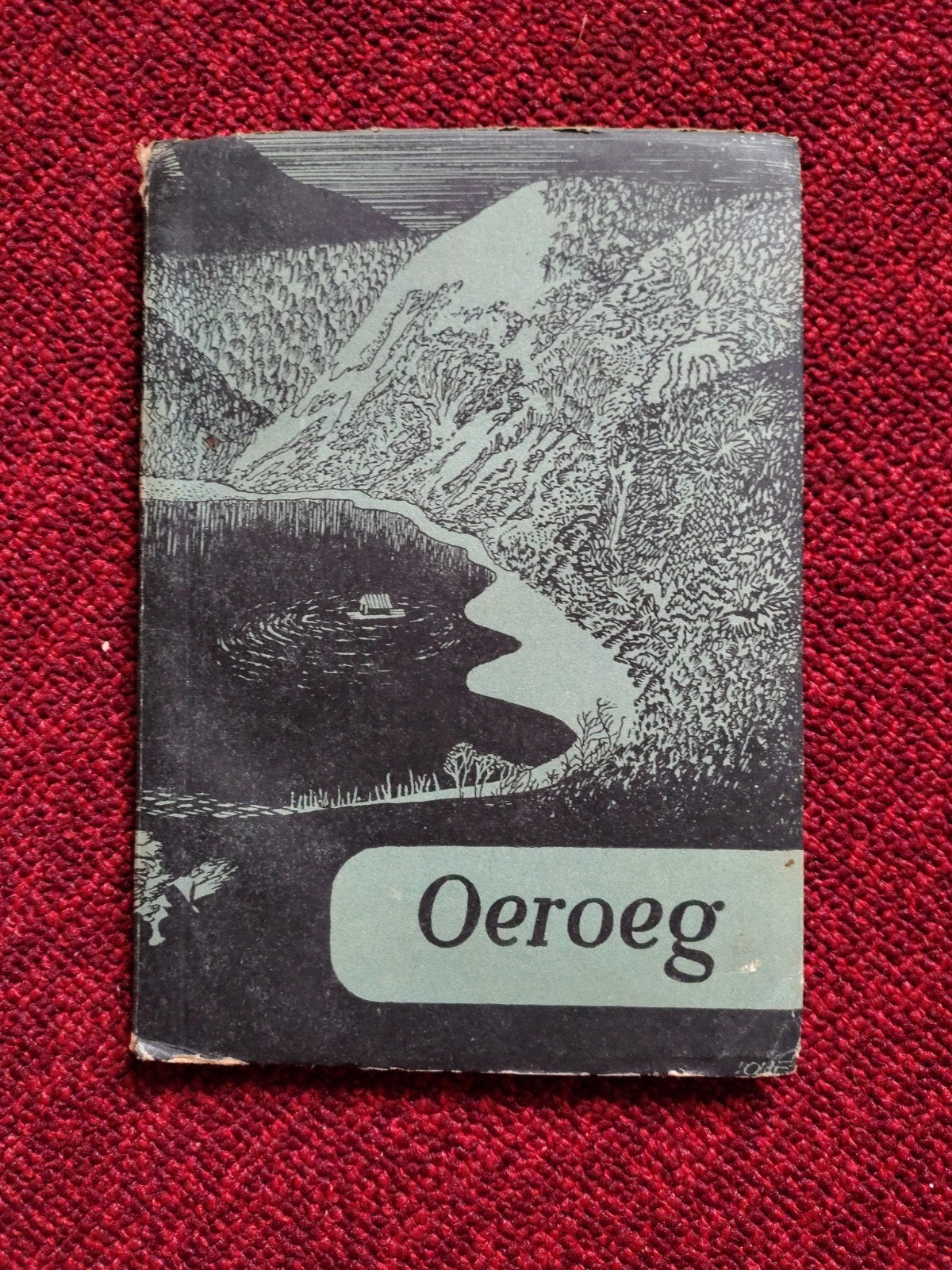 Oeroeg - Boekenweekgeschenk 1948 - Hella S. Haasse, Boeken, Boekenweekgeschenken, Verzenden, Gelezen, Hella S. Haasse