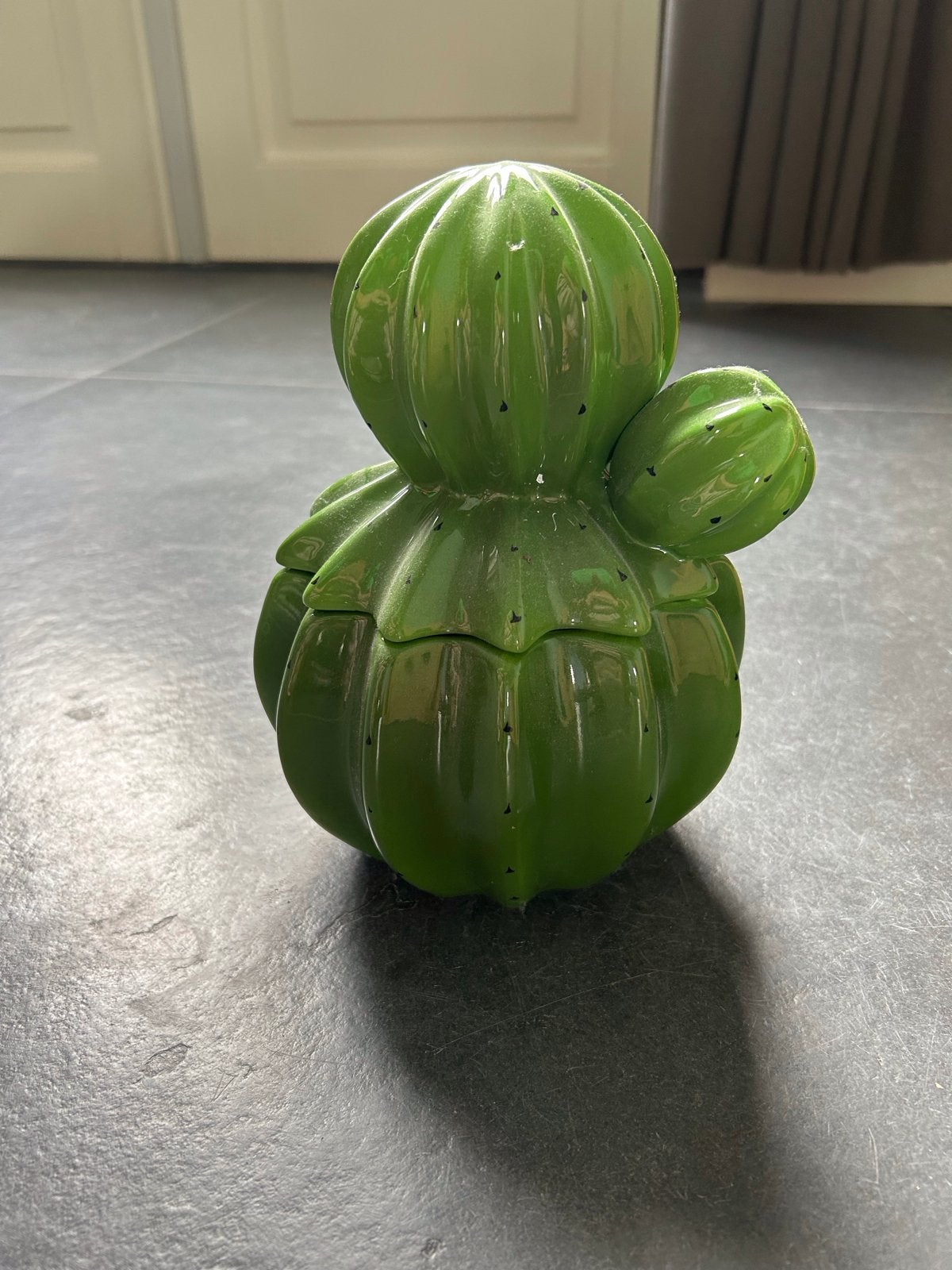 &K Amsterdam Cactus Voorraadpot met Deksel - Groen, Groen, Overige stijlen, Ophalen of Verzenden, Zo goed als nieuw