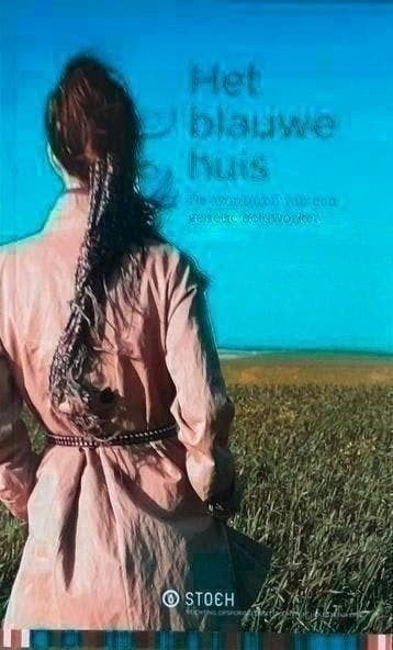 Het blauwe huis - Judith Reinsma, Ophalen of Verzenden, Zo goed als nieuw