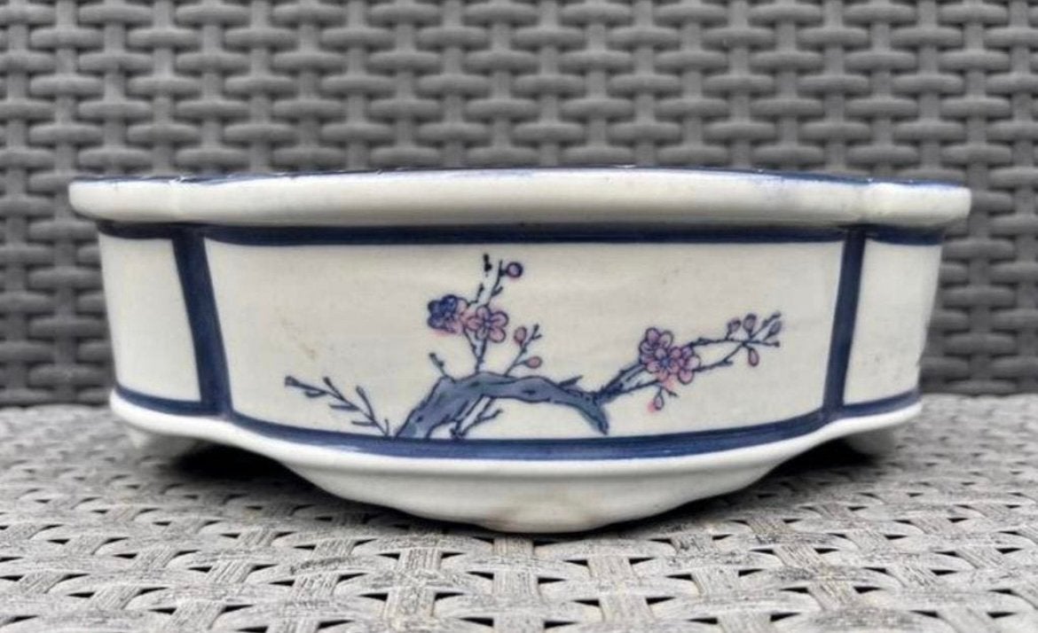 Bonsai schaal Lotus gedecoreerd Kersenbloesem 22,6x16,3x7,2, Overige materialen, Nieuw, Ophalen of Verzenden, Minder dan 40 cm