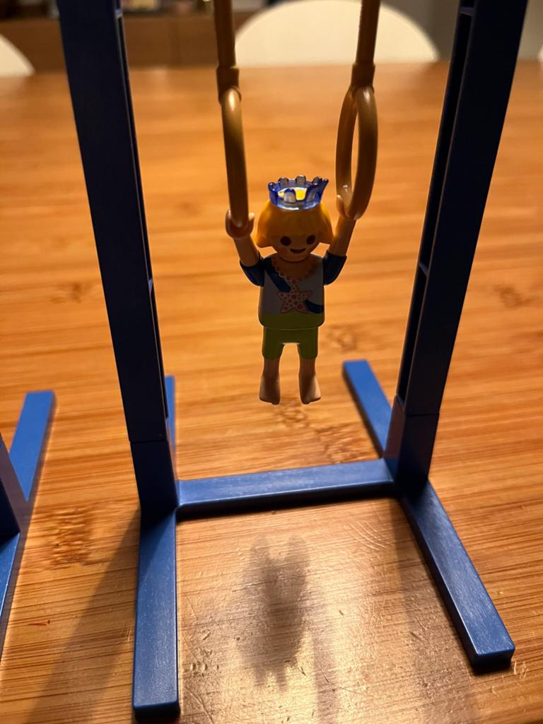 Playmobil, Ophalen, Zo goed als nieuw