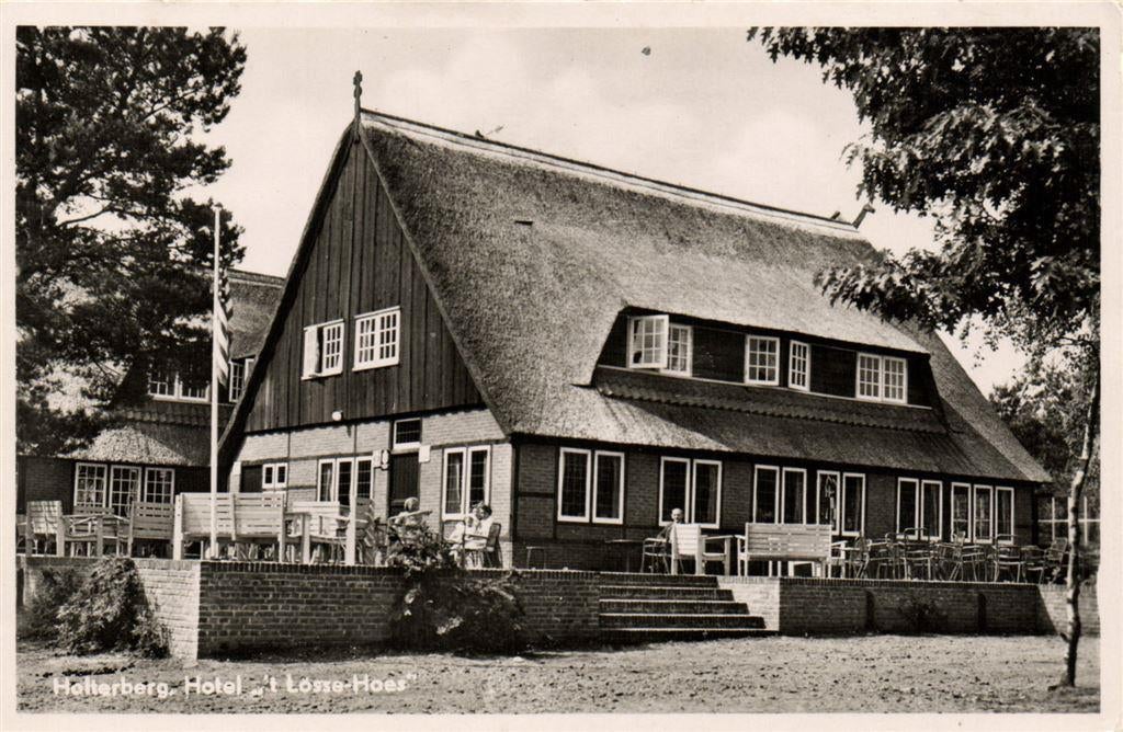 Holterberg, Hotel t Losse Hoes - Holten - ongelopen, Ophalen of Verzenden, Voor 1920, Ongelopen, Overijssel