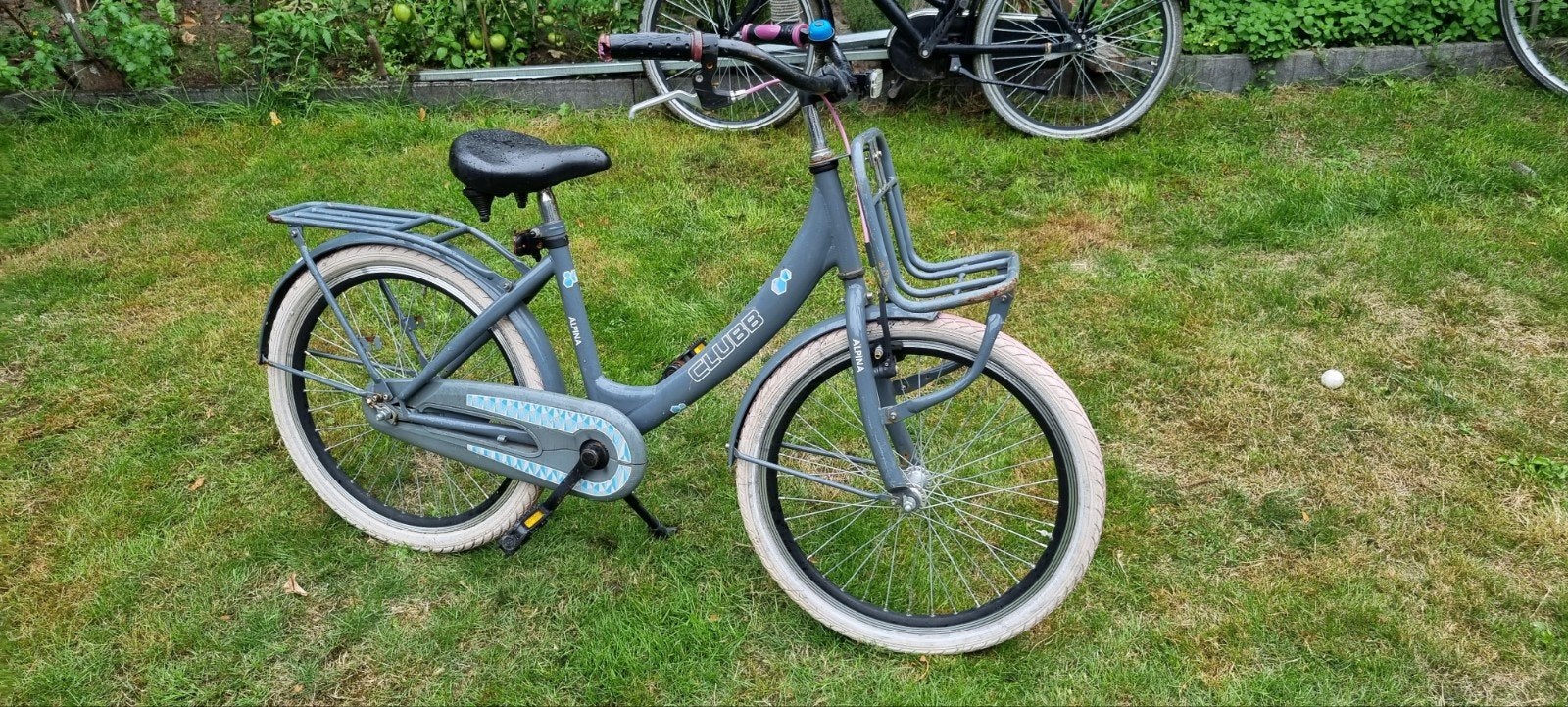 Alpina kinder fiets 22 inc, Fietsen en Brommers, Ophalen of Verzenden, Gebruikt, 20 inch of meer