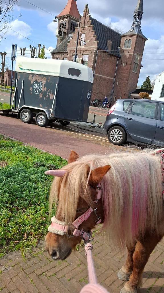 Ponyfeestje bij jouw thuis., Ophalen of Verzenden, Nieuw
