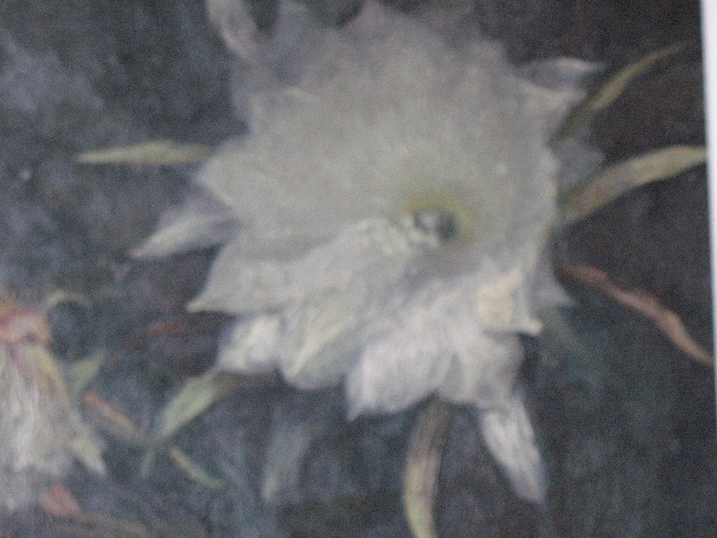 schilderij, Bloemen, Oud hollands, Ophalen of Verzenden, Handgeschilderd