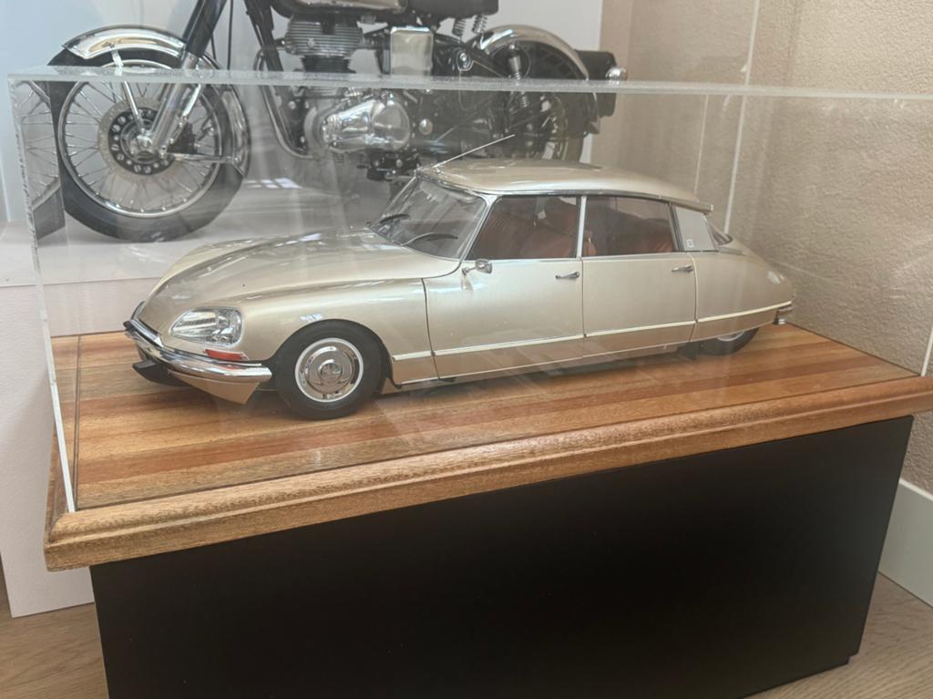 Citroën DS 21 pallas 1:8 DeAgostini, Hobby en Vrije tijd, Modelauto's | 1:5 tot 1:12, Ophalen of Verzenden, Zo goed als nieuw