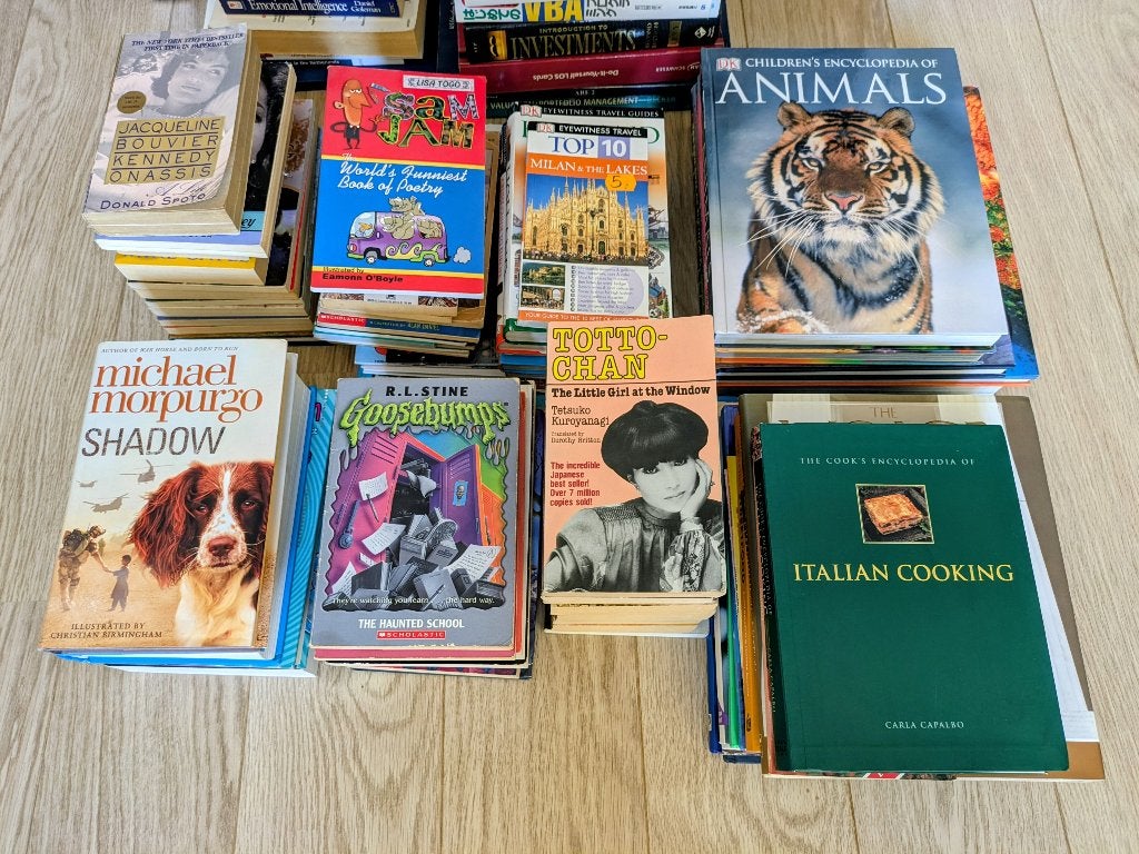 Enorm boekenpakket (45+ boeken) - Engelstalig & NL, Ophalen, Gelezen, Verschillende onderwerpen