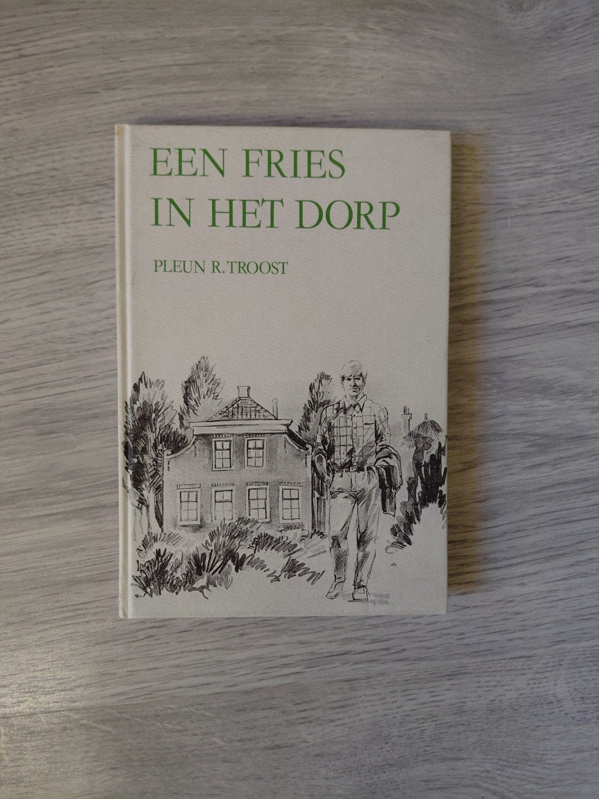 Pleun R.Troost  Een Fries in het dorp, Ophalen of Verzenden, Gelezen