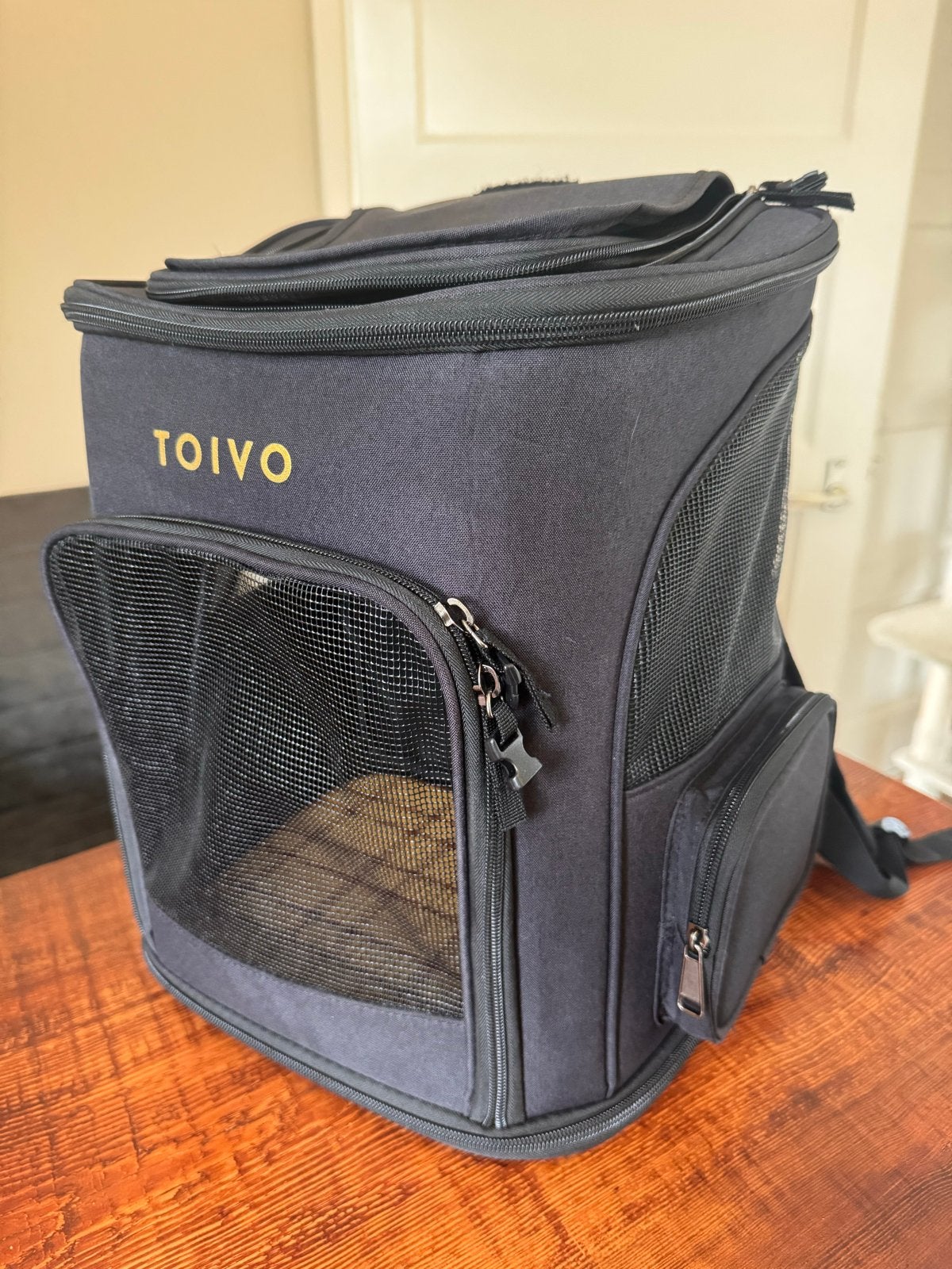 Toivo katten tas of kleine honden, Dieren en Toebehoren, Ophalen of Verzenden, Nieuw