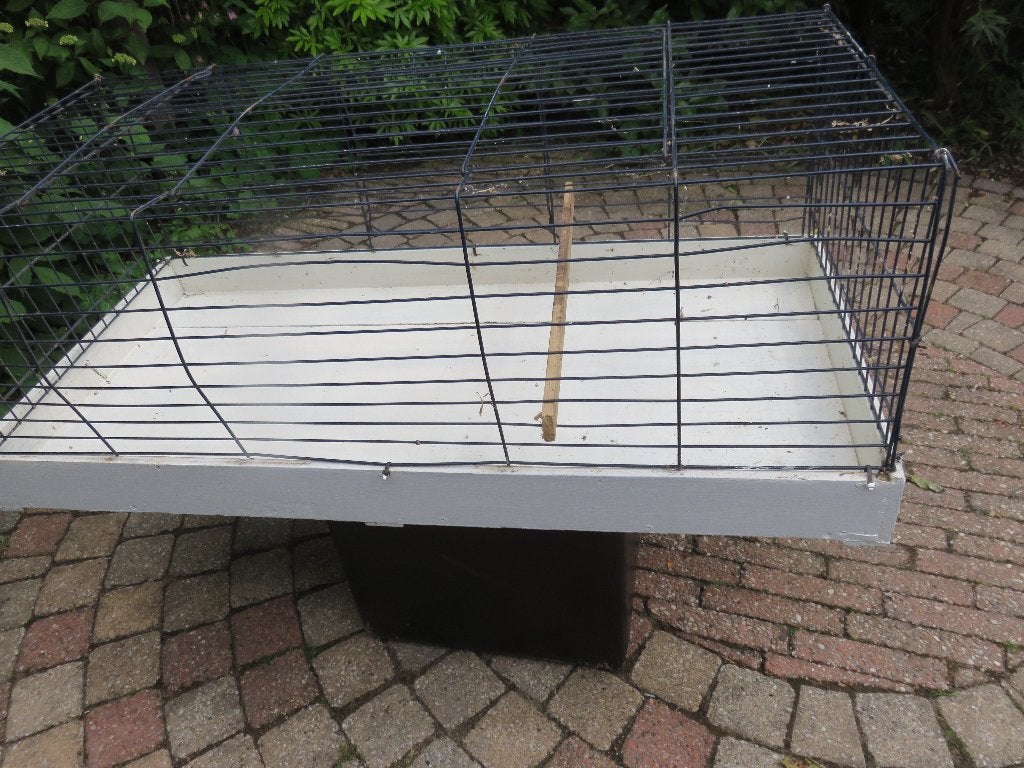 konijnen of cavia kooi, Kooi, Gebruikt, Konijn, 75 tot 110 cm