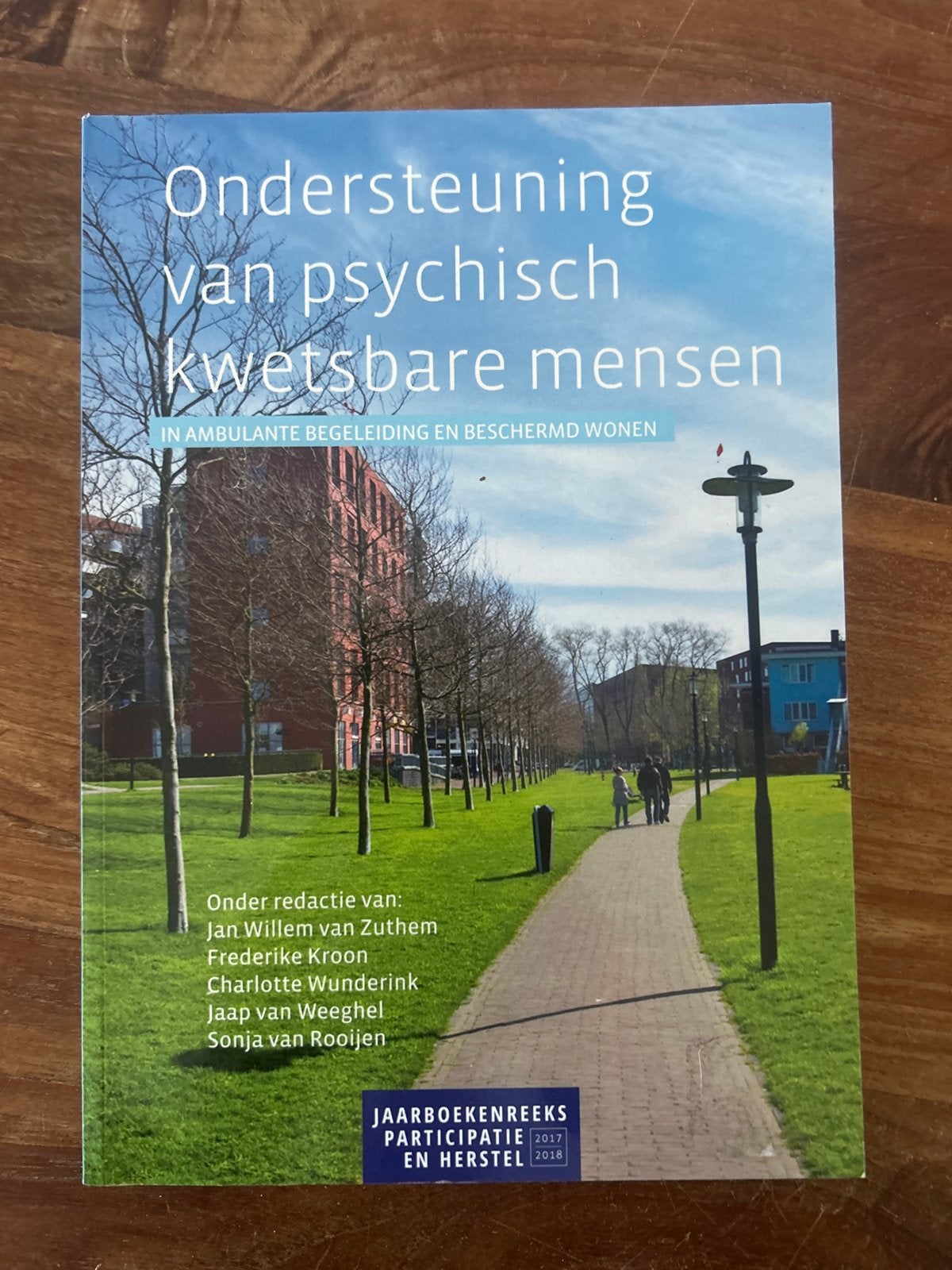 Ondersteuning van psychisch kwetsbare mensen, Ophalen of Verzenden, Zo goed als nieuw, Ontwikkelingspsychologie