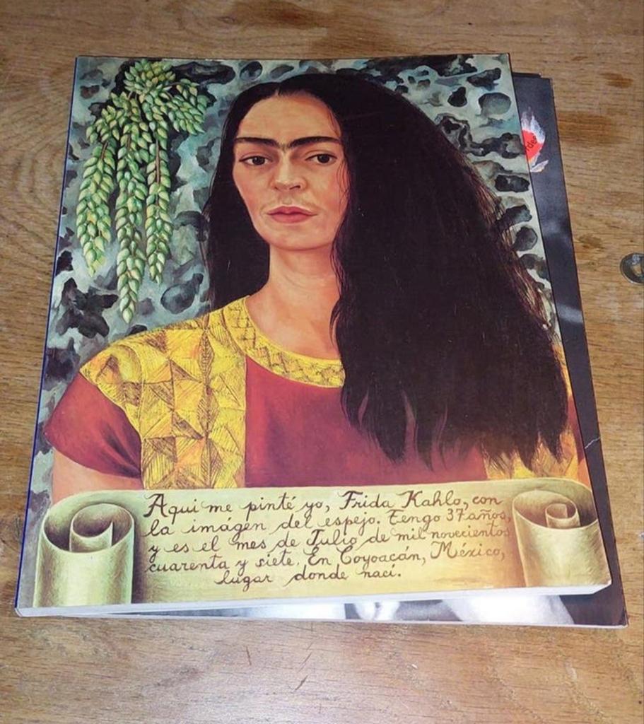 Casa Azul, van  Frida Kahlo ., Boeken, Ophalen of Verzenden, Gelezen