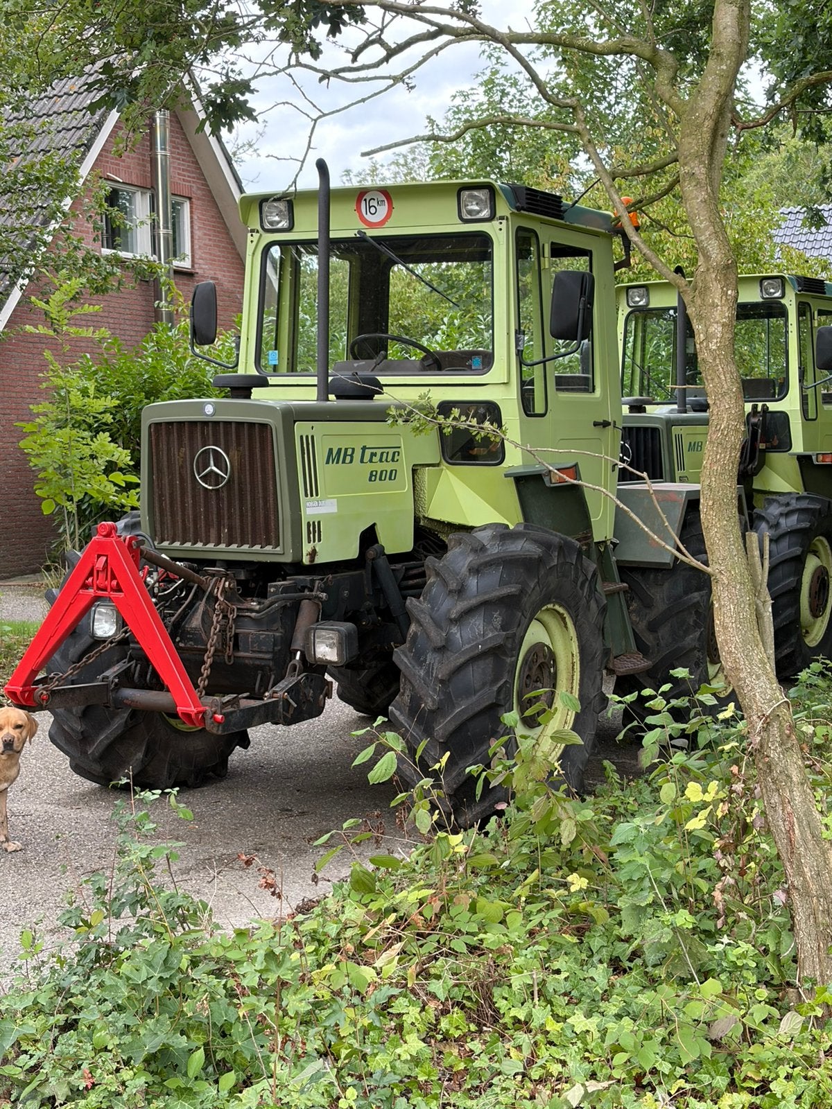 Mb trac 800 marge, Meer dan 10000, Oldtimer, Tot 80 Pk, Ophalen