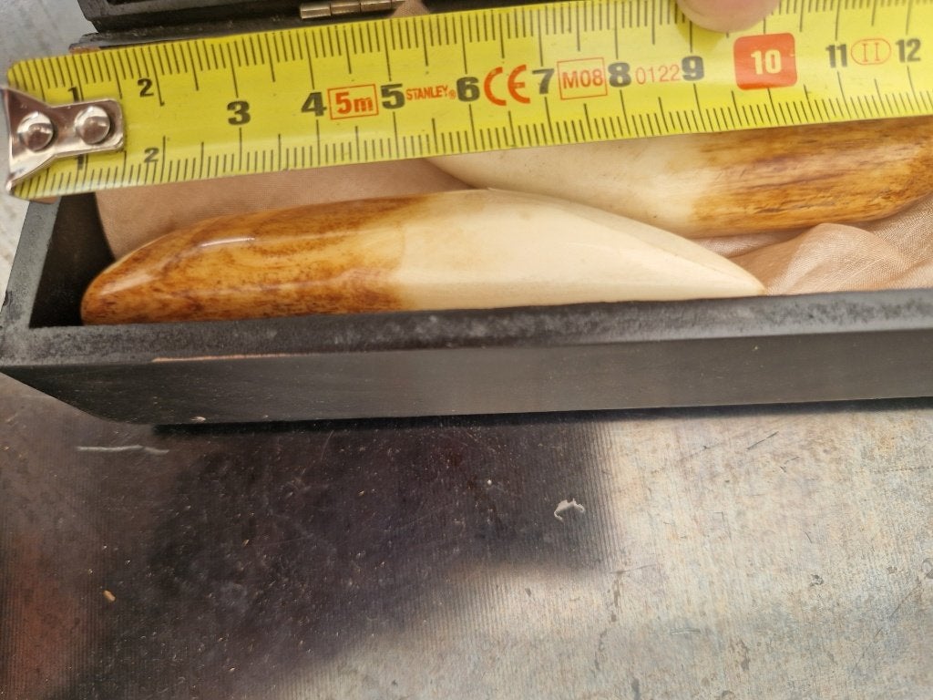 Doosje met oude tanden, Ophalen of Verzenden