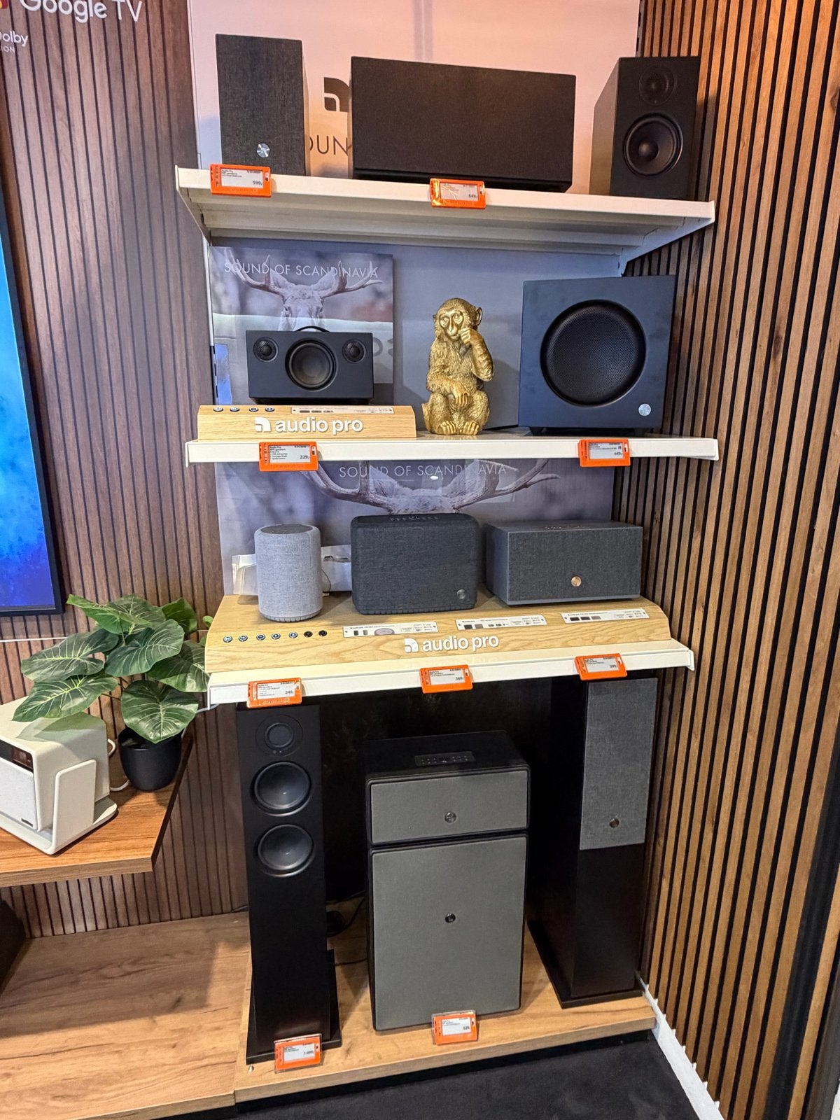 Opruiming! Audio Pro Speakers - Diverse Modellen Beschikbaar, Overige merken, Nieuw, Ophalen of Verzenden, 120 watt of meer