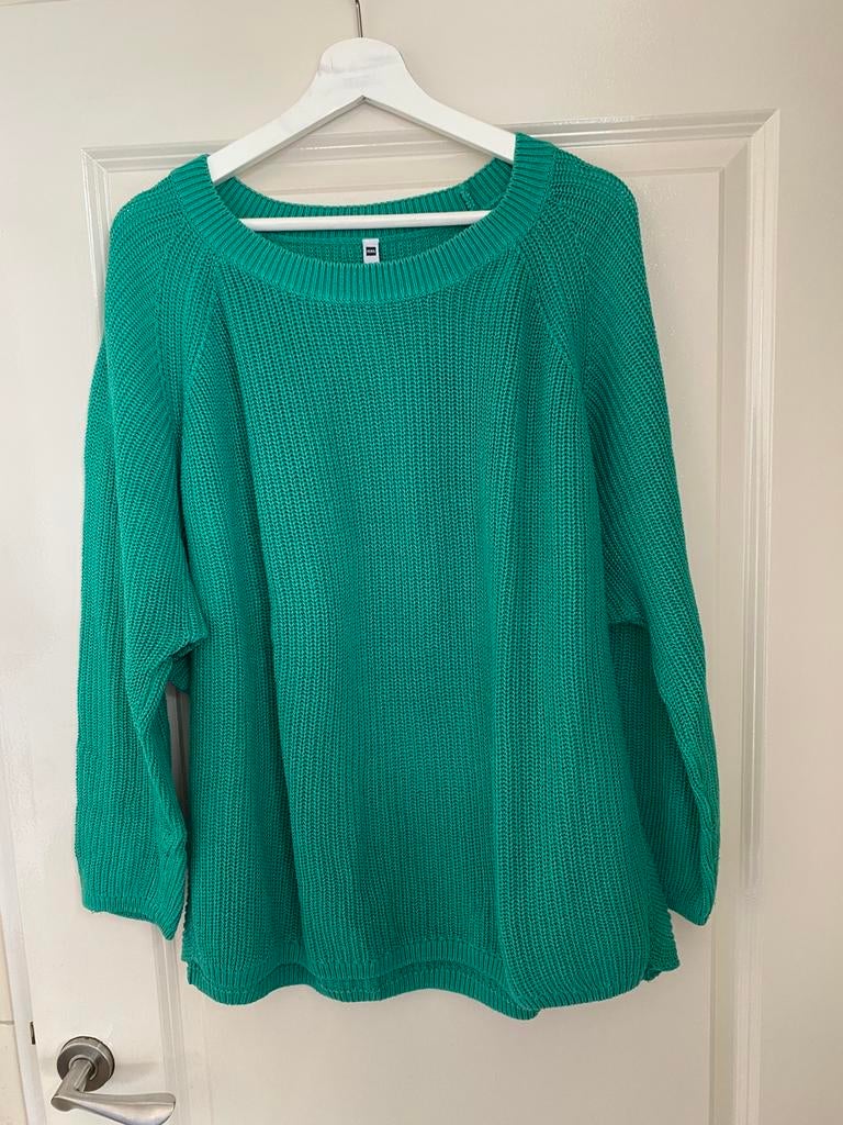 Stoere Smaragd groene trui ., Kleding | Dames, Ophalen of Verzenden, Gedragen, Maat 46/48 (XL) of groter, Groen