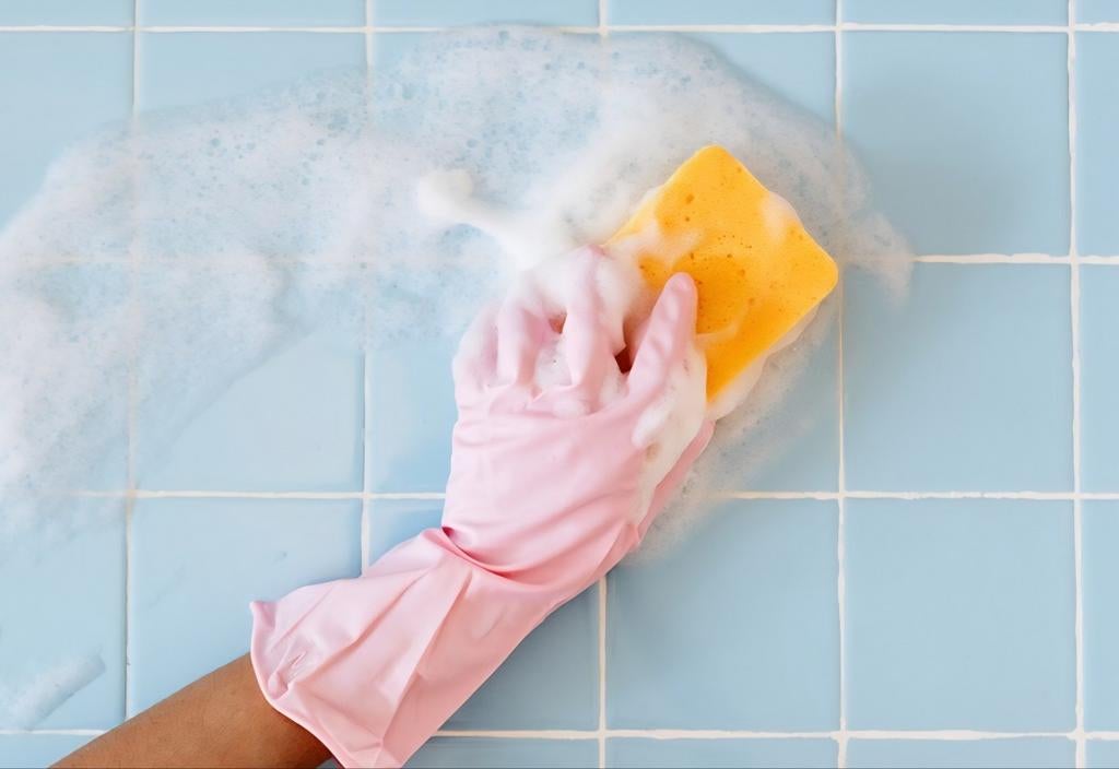 Grote schoonmaak, Diensten en Vakmensen, Huishoudelijke hulp