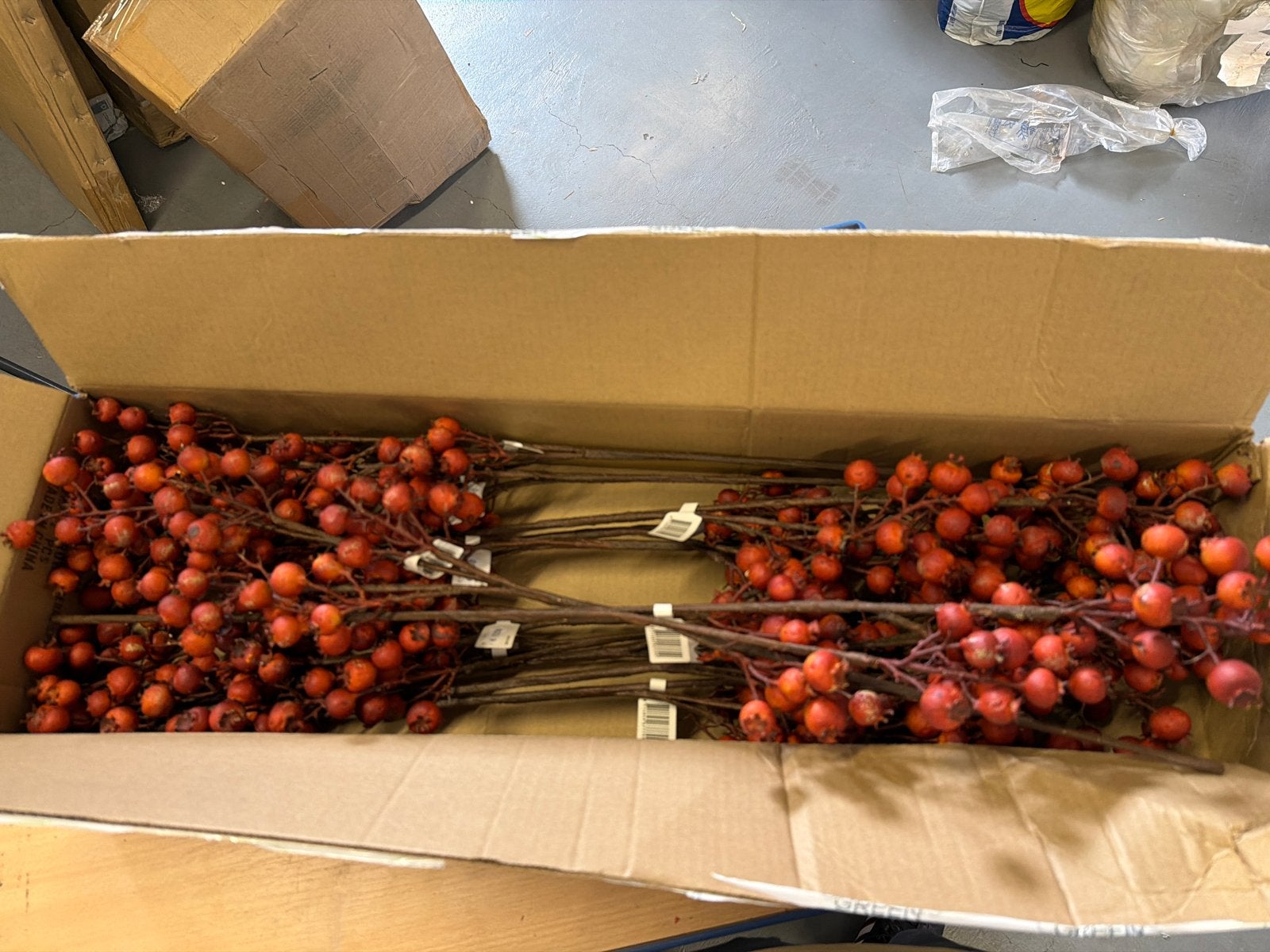 Decoratieve Bessen Takken - 76cm Berry Spray, Nieuw, Ophalen of Verzenden, Nvt, Nvt