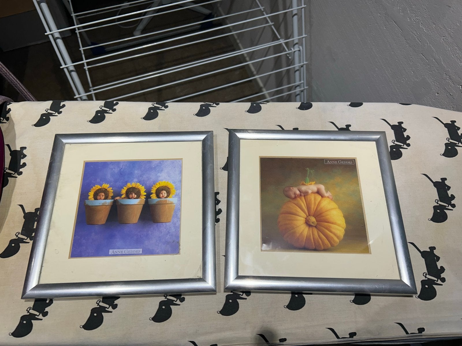 2 Schattige Anne Geddes Schilderijtjes, Ophalen of Verzenden, Zo goed als nieuw, Print, Minder dan 50 cm