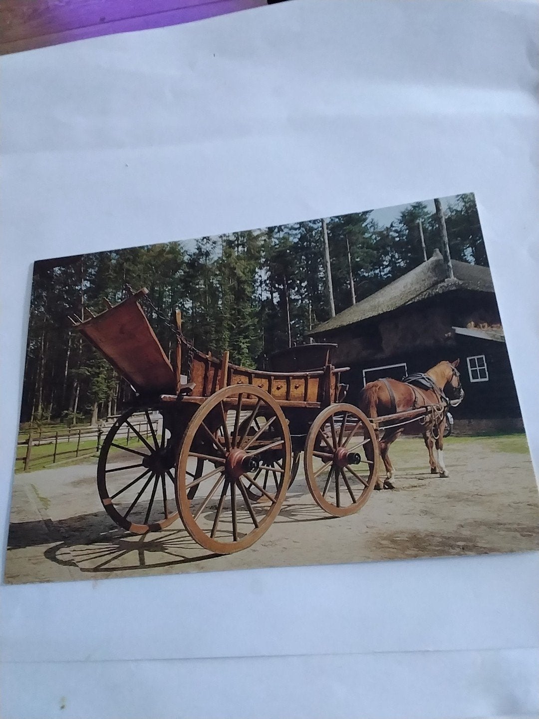 Oude ansichtkaart: Gelderse boerenwagen, Openluchtmuseum, Ophalen of Verzenden, 1960 tot 1980, Ongelopen