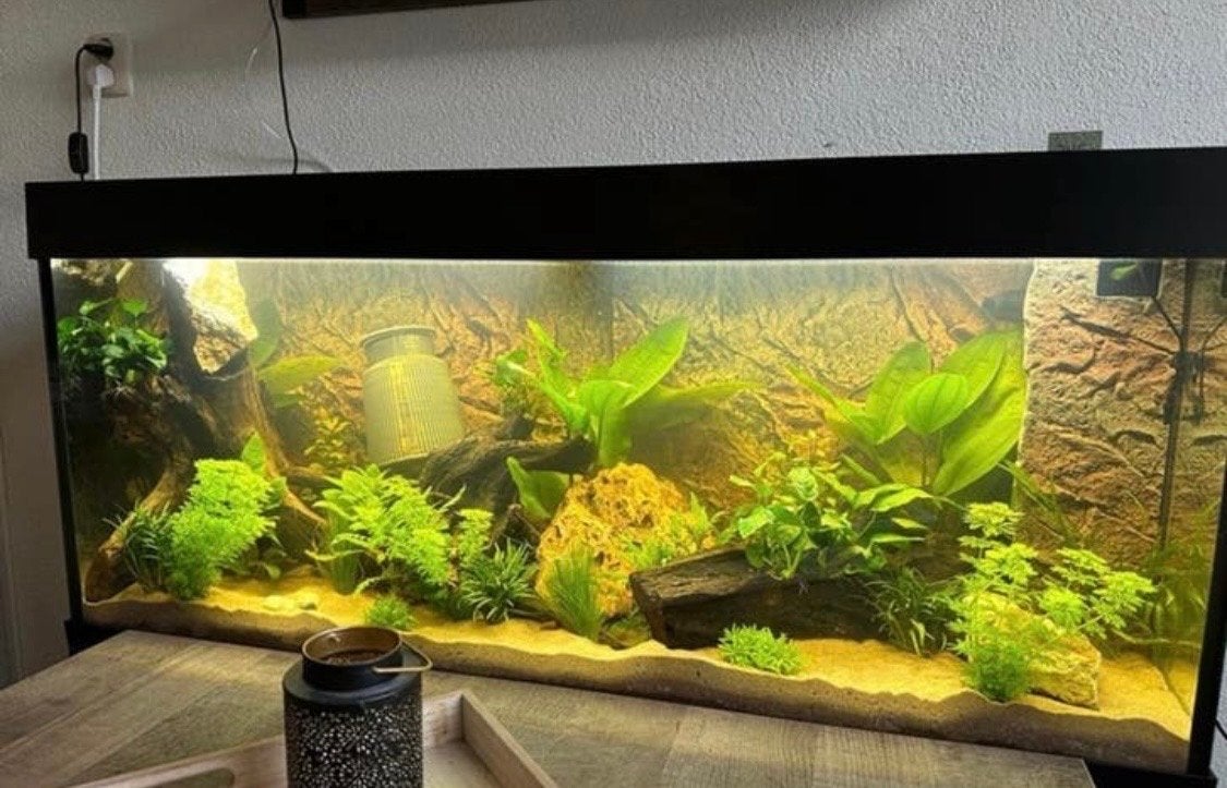 Juwel aquarium (leeg), Ophalen, Leeg aquarium