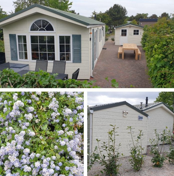 Vakantiehuis/chalet De Krim - Texel- last minute - zwembad