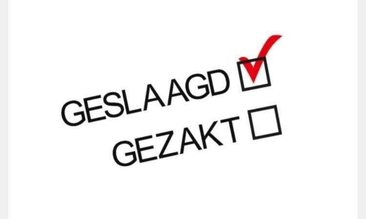 Bijles natuurkunde, wiskunde en scheikunde met referenties., Privéles, Bijles