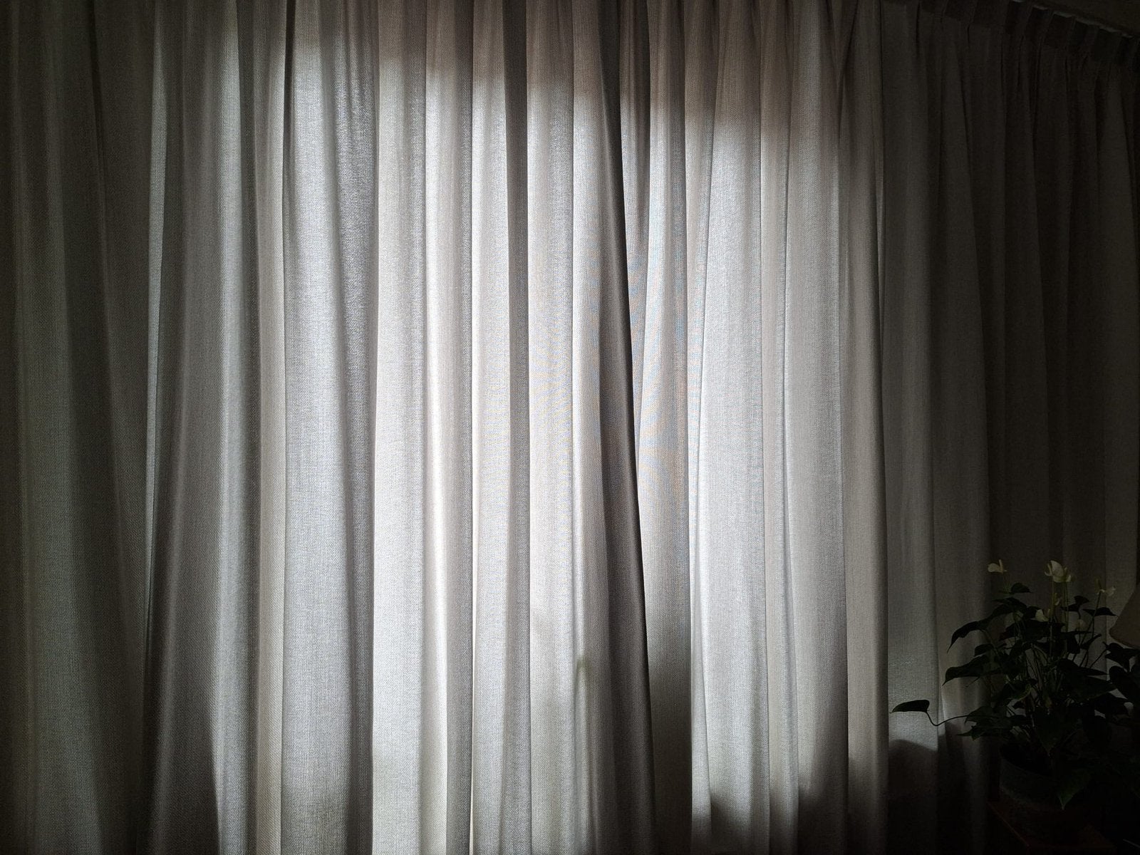 Lichtgrijze gordijnen - 2 stuks 250 h x 382 b, Huis en Inrichting, Stoffering | Gordijnen en Lamellen, Zo goed als nieuw, Gordijn