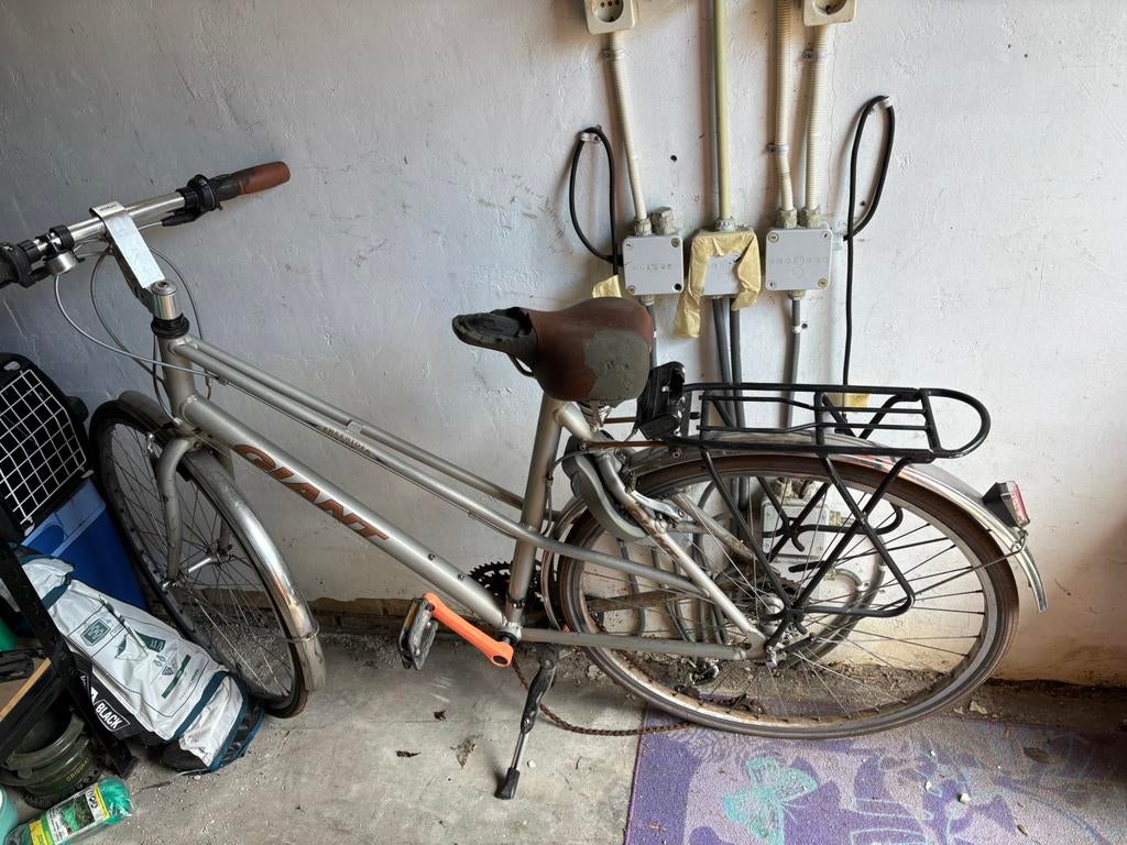 Giant Freerider. Opknapper. Af te halen voor 'n leuk plantje, Ophalen
