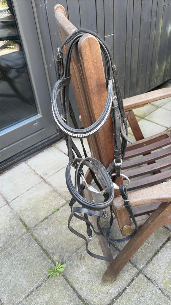 Hoofdstel shetlander, Ophalen, Gebruikt, Overige soorten