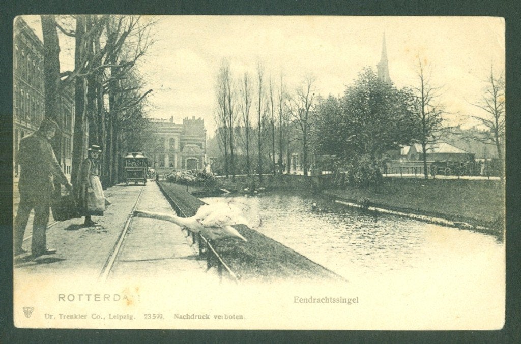 AK Rotterdam Trenkler 23599 Eendrachtssingel 1905, Ophalen of Verzenden, Voor 1920, Gelopen, Zuid-Holland