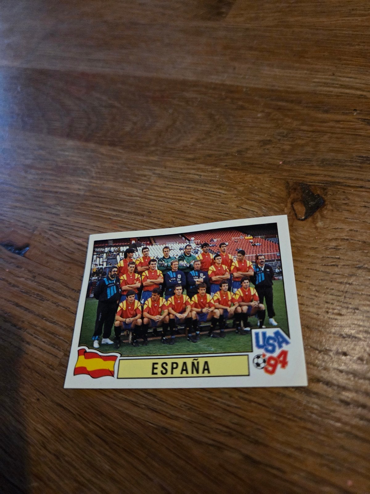 Panini WK 94, Ophalen of Verzenden, Zo goed als nieuw, Buitenlandse clubs, Poster, Plaatje of Sticker