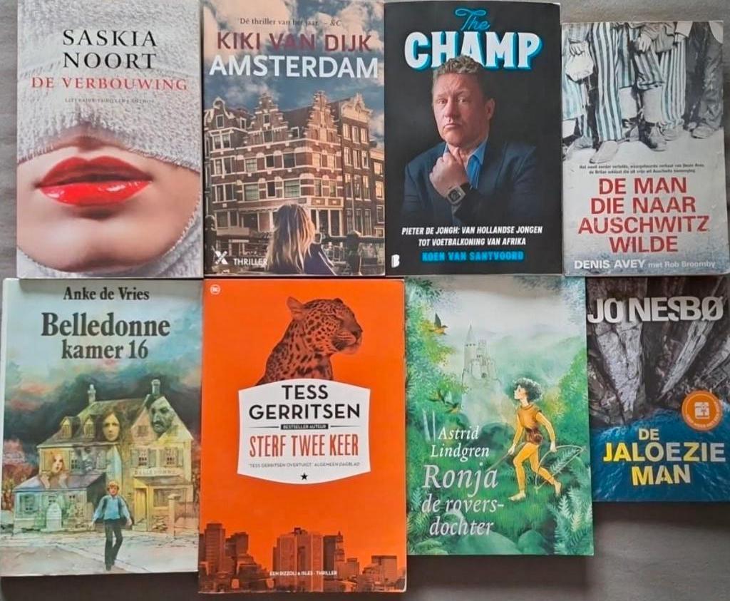 Diverse boeken, Ophalen of Verzenden, Gelezen, Diverse auteurs