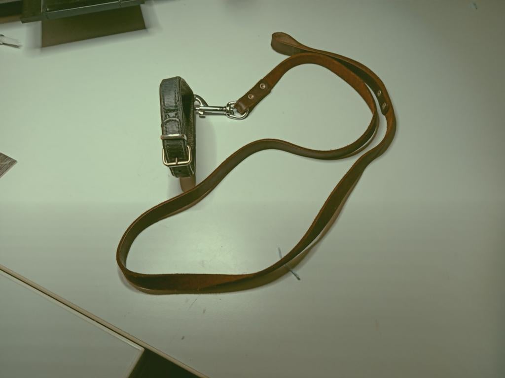Leren halsband met riem, Dieren en Toebehoren, Hondenriemen, Ophalen