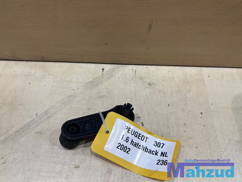 PEUGEOT 307 207 Raam slinger 2000-2007, Taurusavenue 1
2132 LS  Hoofddorp, NL, Gebruikt, Contact.group@renault.com, Stellantis N.V.