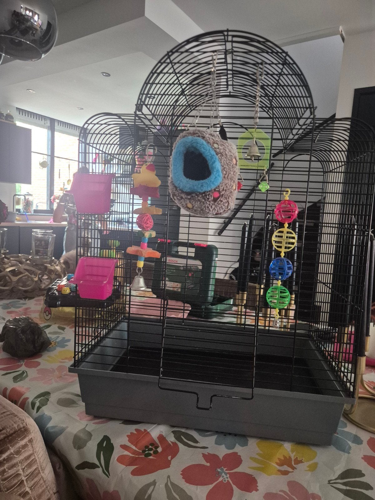 vogelkooi  zwart  met toebehoren, Ophalen, Zo goed als nieuw, Metaal, Vogelkooi