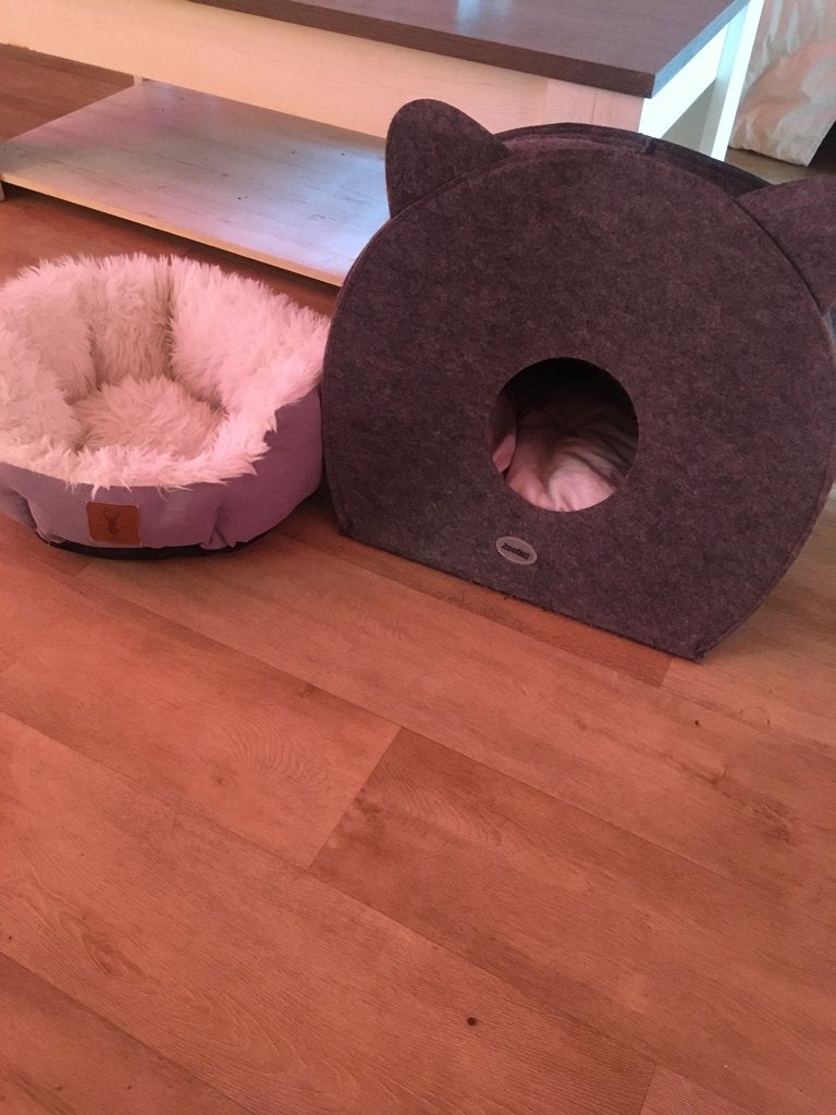 Te koop katten huisje en mandje, Ophalen, Zo goed als nieuw