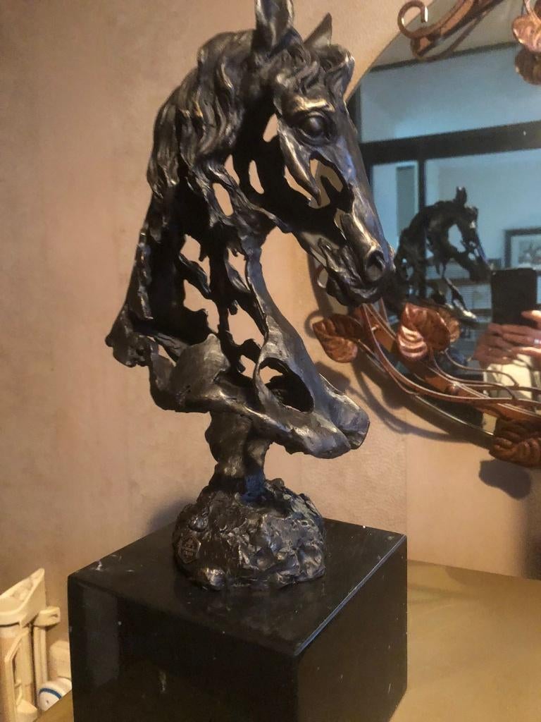 bronzen sculptuur paard hoofd buste horse, Antiek en Kunst, Kunst | Beelden en Houtsnijwerken, Ophalen of Verzenden, Brons, Buste