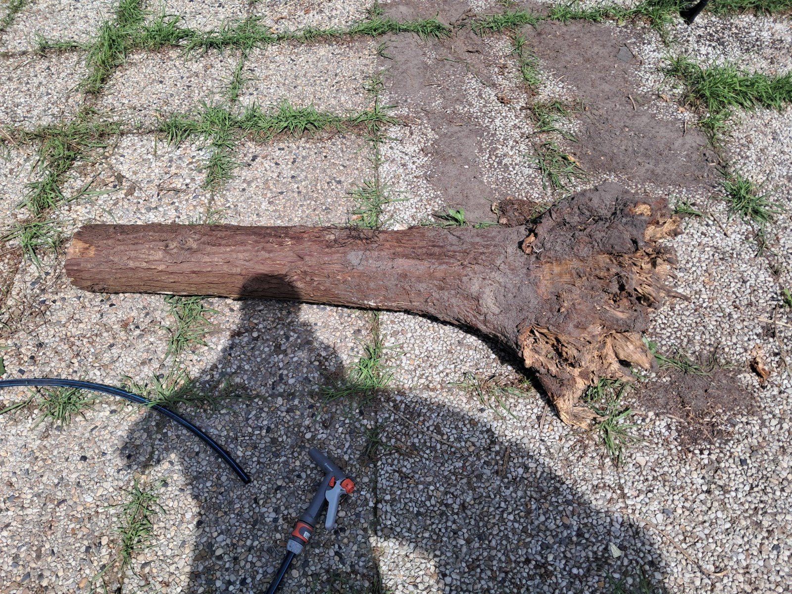 Brandhout boomstammen, Tuin en Terras, Haardhout, Minder dan 3 m³, Ophalen