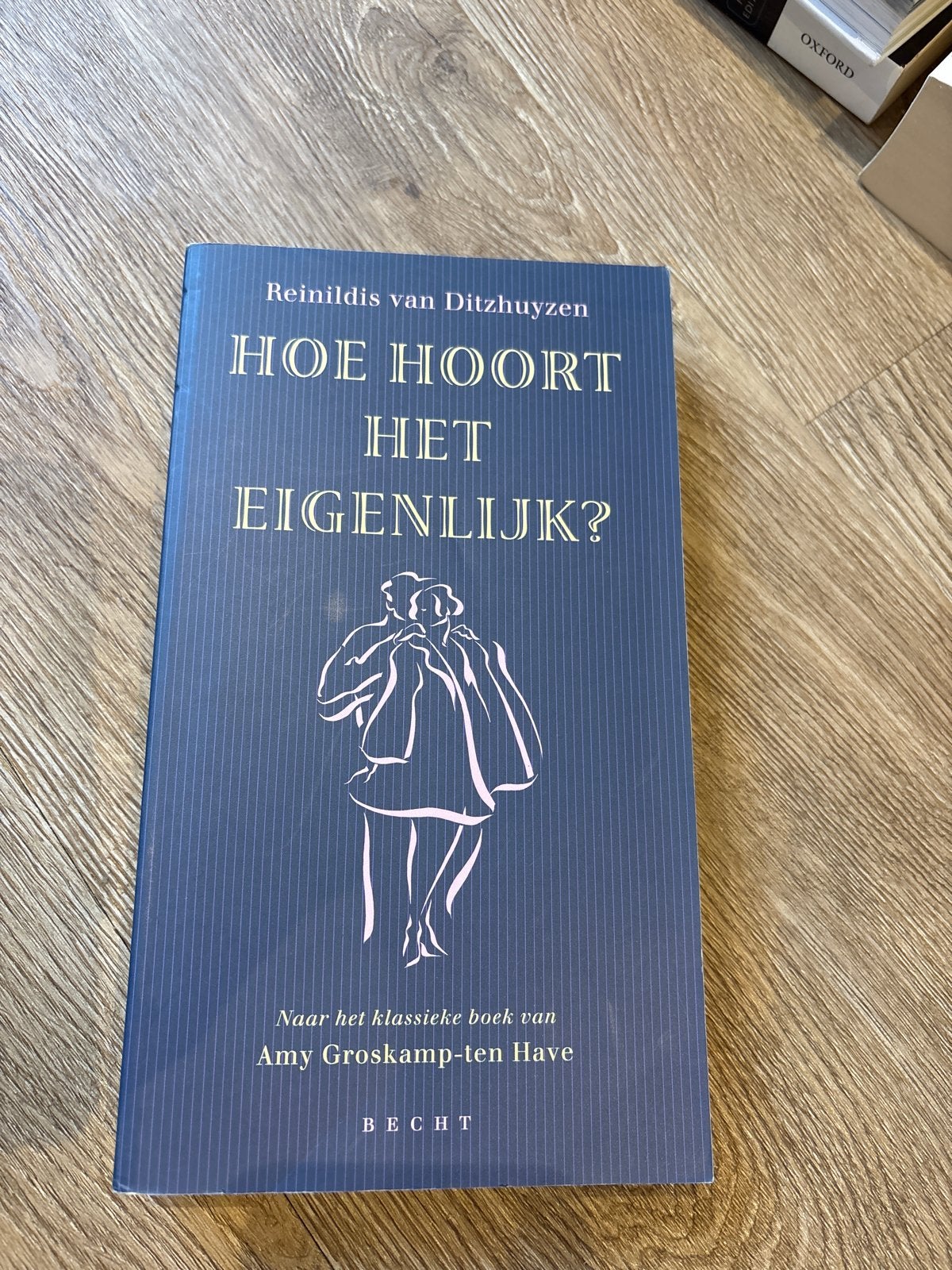 Hoe Hoort Het Eigenlijk? Reinildis van Ditzhuyzen, Ophalen of Verzenden, Zo goed als nieuw, Nederland
