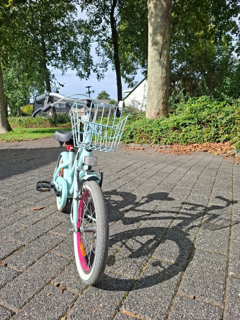 Alpina Ocean meisjesfiets 16 inch - Mintgroen/Roze, Fietsen en Brommers, Ophalen, Terugtraprem, Gebruikt, Alpina
