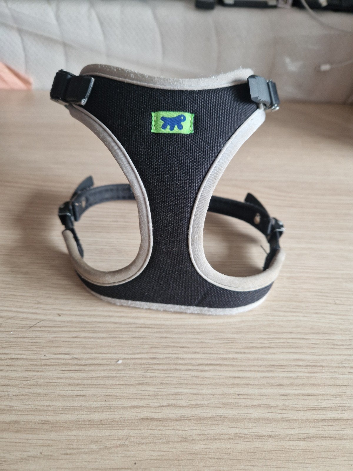 Tuigje voor boxerpup, Ophalen of Verzenden, Zo goed als nieuw, Halsband