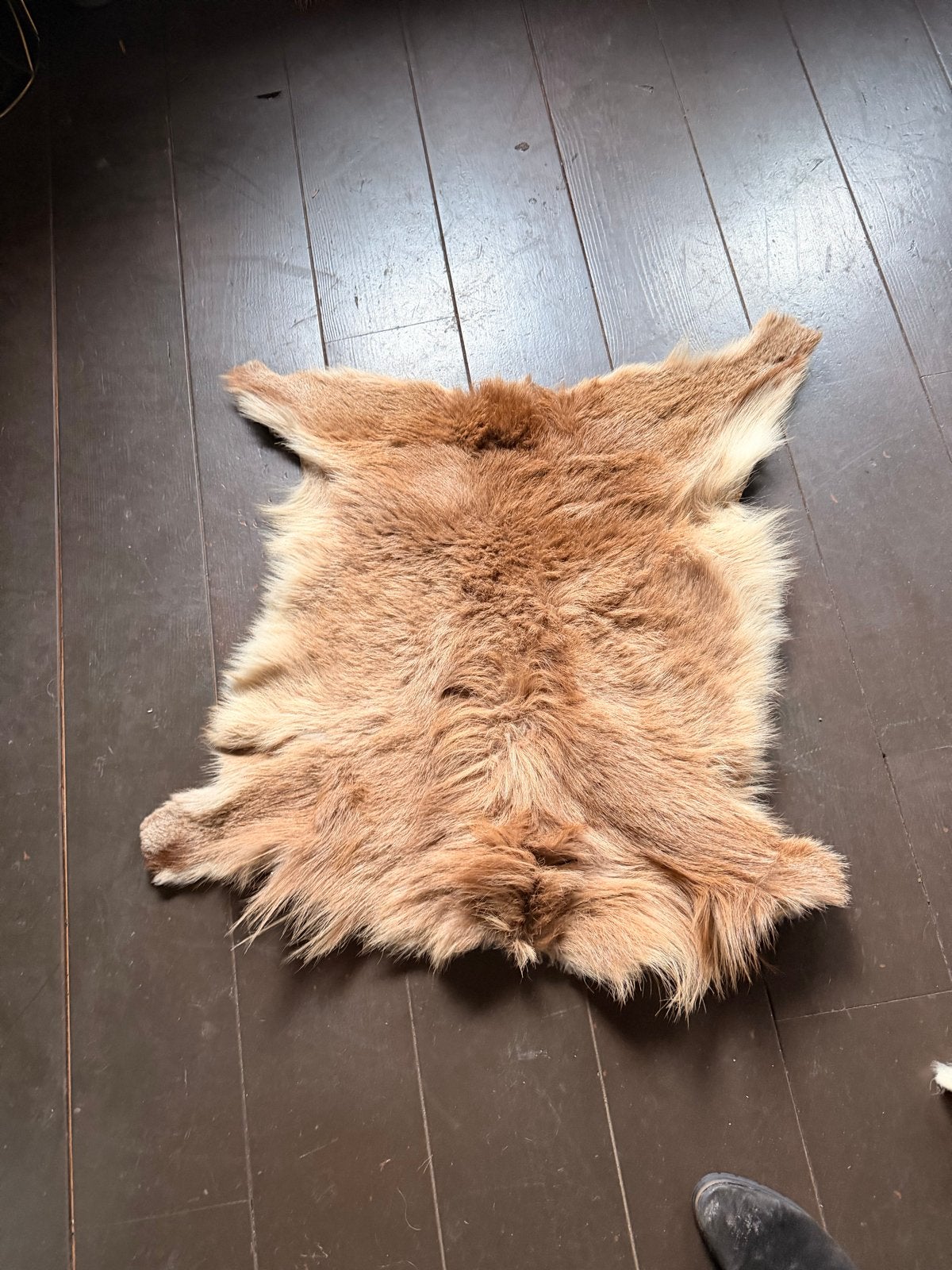 Zacht bruin schapenvachtje voor decoratie, Gebruikt, Bruin, Overige vormen, 50 tot 100 cm