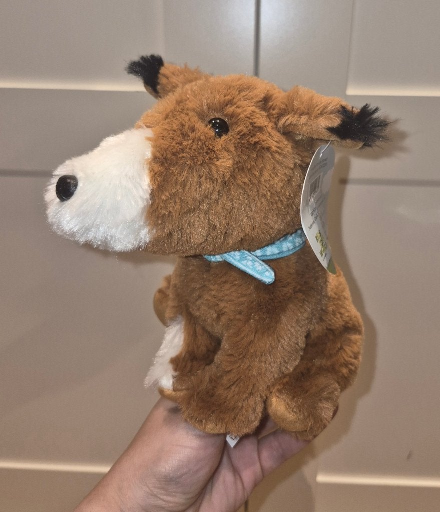 Knuffel Pim de hond, Kinderen en Baby's, Speelgoed | Knuffels en Pluche, Overige merken, Overige karakters, Nieuw, Middelgroot (20 tot 80 cm)