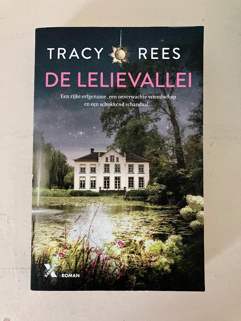Roman Tracy Rees, Boeken, Ophalen of Verzenden, Zo goed als nieuw, Tracy Rees