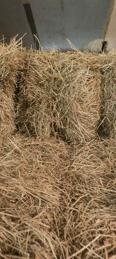 Hooi in kleine baaltjes, Dieren en Toebehoren, Dierenvoeding, Ophalen, Vee
