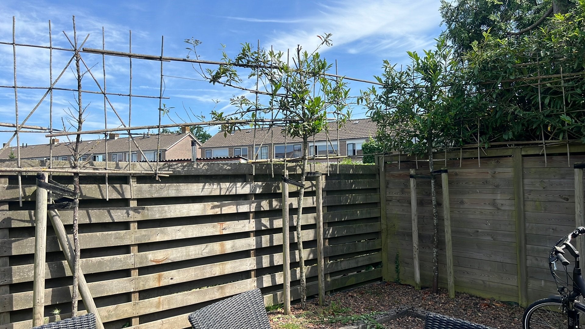 Leibomen (7 stuks), Tuin en Terras, Ophalen, Volle zon, Leiboom, 250 tot 400 cm