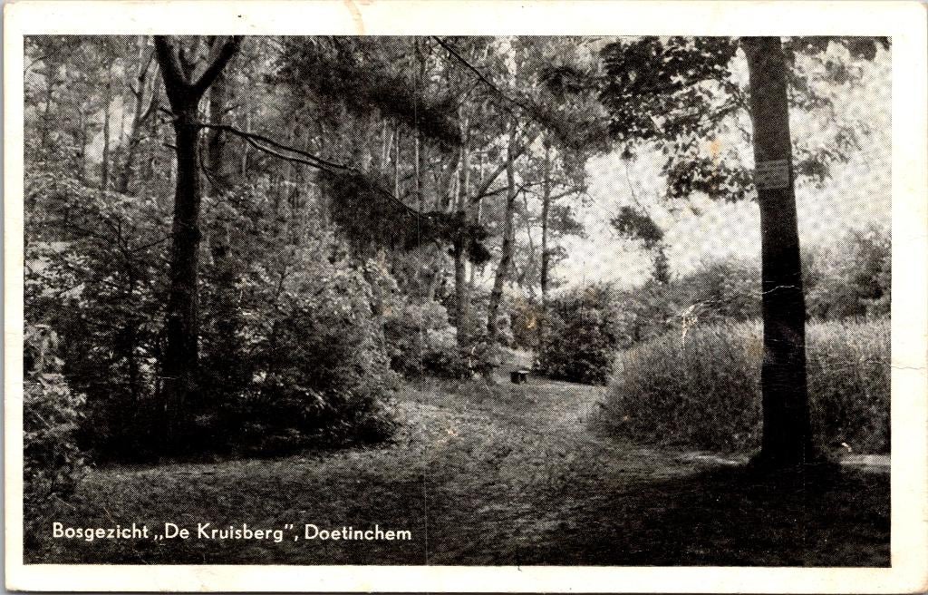Doetinchem - Bosgezicht de Kruisberg (1954), Verzenden, 1940 tot 1960, Gelopen, Gelderland