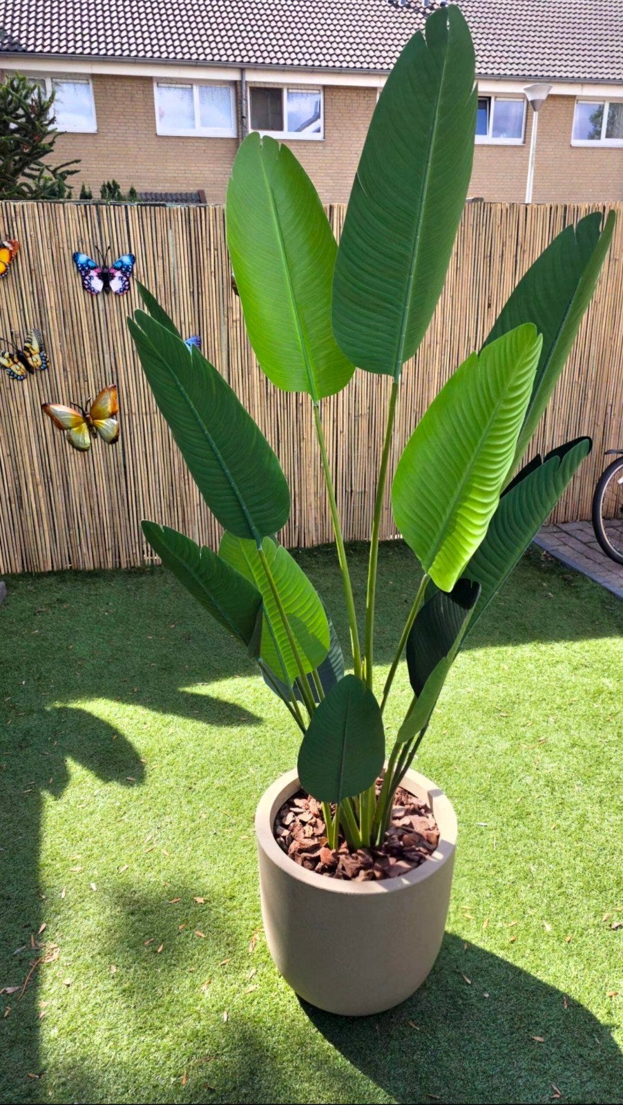 kunstplant strelitzia, Ophalen, Nieuw