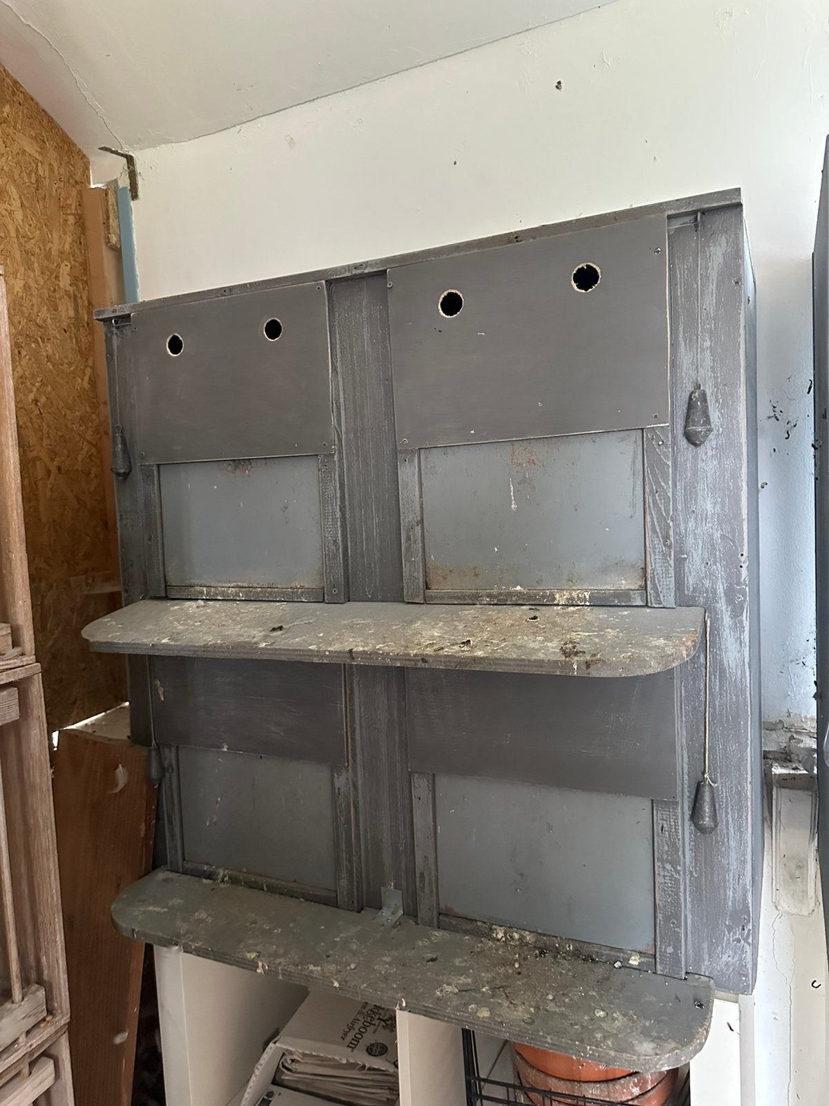 Donkerhok van 4, Dieren en Toebehoren, Mannelijk, Postduif